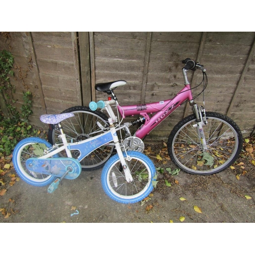 950 - TWO GIRLS BIKES