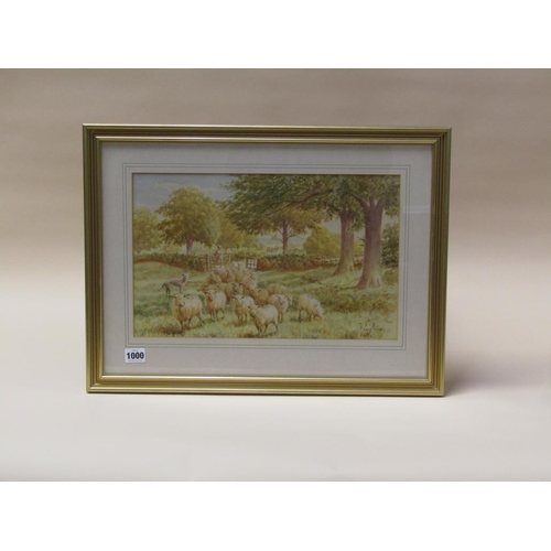 1000 - H J RHODES - SHEEP ENTERING A NEW, SIGNED WATERCOLOUR, F/G, 25CM X 40CM