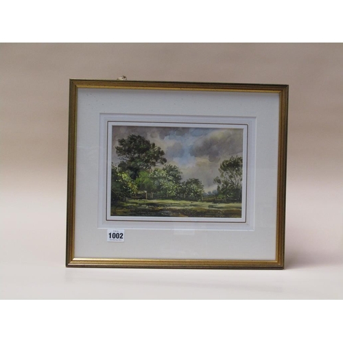 1002 - EDWARD STAMP 1992 - SUMMER TREES STEWKLEY, SIGNED WATERCOLOUR, F/G, 17CM X 24CM