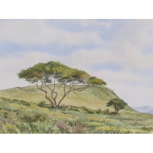 1010 - MARY RUSSELL - SERIES OF THREE TANZANIAN LANDSCAPES INCL MOUNT KILAMANJARO, EACH SIGNED WATERCOLOURS... 