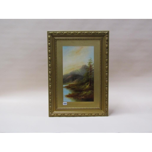 1025 - UNSIGNED LATE 19C - THE BANKS OF A LOCH, OIL ON BOARD, FRAMED, 45CM X 25CM