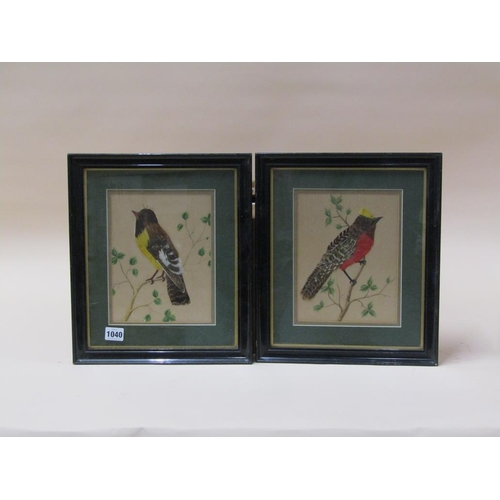 1040 - SERIES OF FOUR FEATHER BIRD PICTURES, EACH F/G, 23CM X 16CM