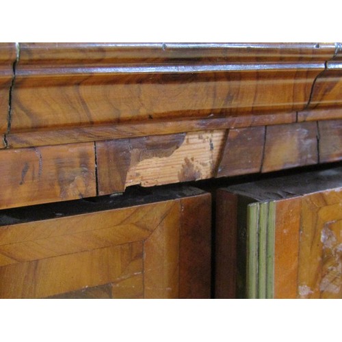 286 - An 18c oyster veneer cabinet on stand, the cabinet under a shallow moulded cornice enclosed by two h... 