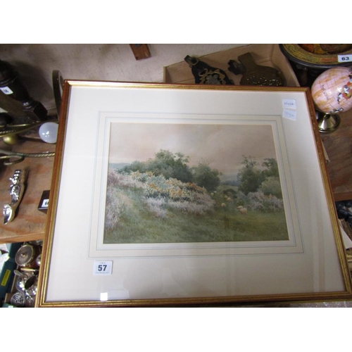 57 - FRAMED WATERCOLOUR - A ASHDOWN BOX, SHEEP GRAZING