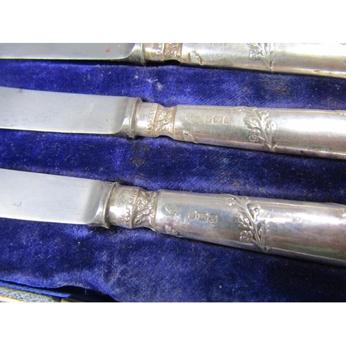 1517 - STERLING SILVER HANDLED CAKE KNIFE, TWO BOXES OF SILVER HANDLED BUTTER KNIVES