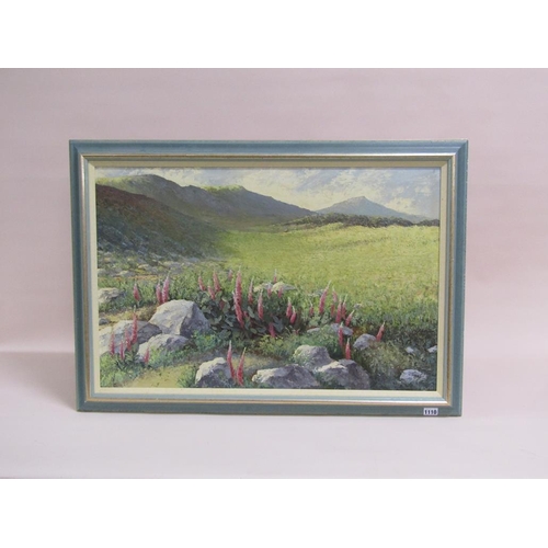 1110 - MONO RM - ROCKS AND FLOWERS IN THE HIGHLANDS, SIGNED IN MONO, OIL ON BOARD, FRAMED, 50CM X 75CM