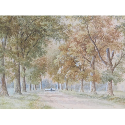 1112 - ALFRED BOX 79 - SHEPHERD AND FLOCK IN AVENUE OF TREES, SIGNED WATERCOLOUR, F/G, 43CM X 65CM