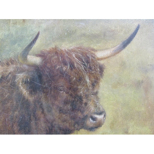 1121 - LOUIS BOSWORTH HURT - A HIGHLAND BULL, SIGNED IN MONO, OIL ON CANVAS, FRAMED, 19CM X 29CM