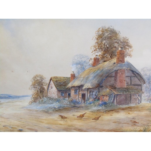 1134 - SIGNED INDISTINCTLY - THATCHED COTTAGE WITH CHICKENS IN THE FOREGROUND, WATERCOLOUR, F/G, 30CM X 45C... 