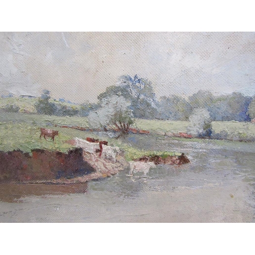 1147 - DAVID FRICKER - BEND IN THE RIVER, SIGNED OIL ON BOARD, FRAMED, 30CM X 56CM