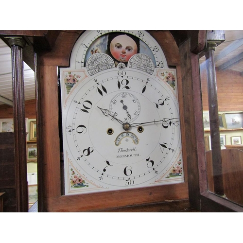 1179 - GEORGIAN OAK LONGCASE CLOCK, 229CM H