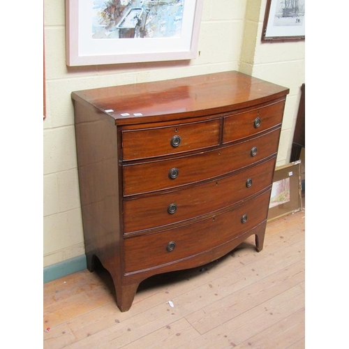 1644 - EARLY 19C MAHOGANY BOW FRONT CHEST OF TWO SHORT AND THREE LONG DRAWERS, 101CM W, 101CM H