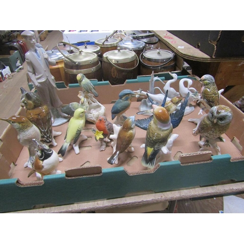 246 - BOX OF PORCELAIN BIRD FIGURES ETC TO INCL VOLKSTEDT KARL ENS