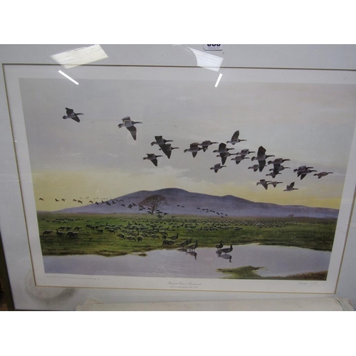 383 - LIMITED EDITIONBIRD PRINT - BARNACLE GEESE, PHILLIPA SCOTT