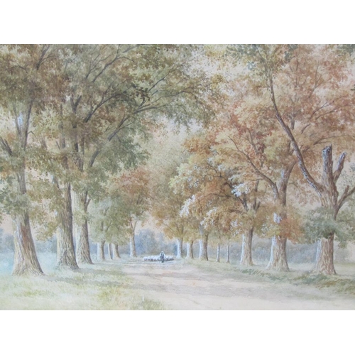 1113 - ALFRED BOX 79 - SHEPHERD WITH HIS FLOCK IN AVENUE OF TREES, SIGNED WATERCOLOUR, F/G, 43CM X 65CM