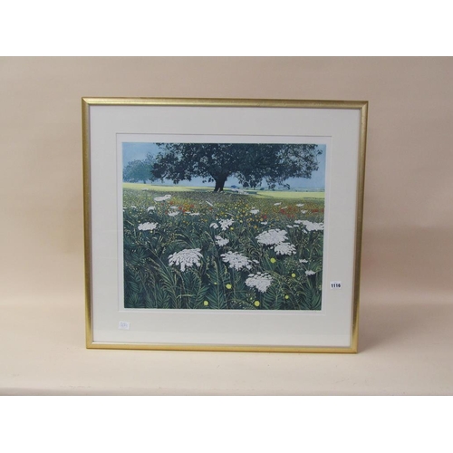 1116 - GREENWOOD - SPANISH FIELDS, LIMITED EDITION COLOURED PRINT 95/150, F/G, 50CM X 60CM