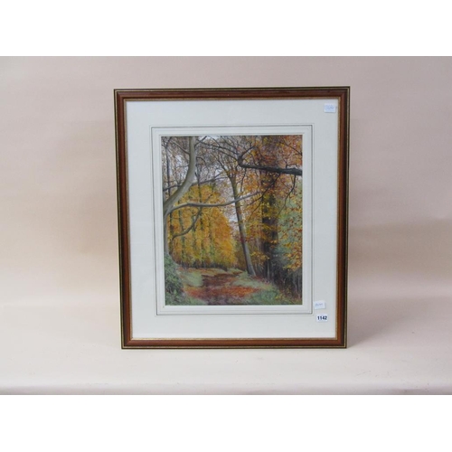 1142 - RONALD SALVESEN - AUTUMN WOODLAND SETTING, SIGNED S - 04, F/G, 50CM X 40CM