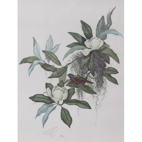 1146 - SWEET BAY MAGNOLIA, SIGNED AND STAMPED BY ARTIST, F/G COLOURED PRINT, 70CM X 55CM