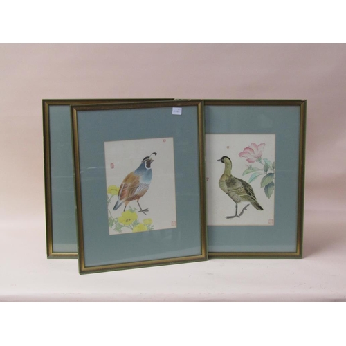 1173 - COLLECTION OF FIVE ORIENTAL COLOURED PRINTS - VARIOUS BIRDS, EACH F/G, APPROX 30CM X 22CM