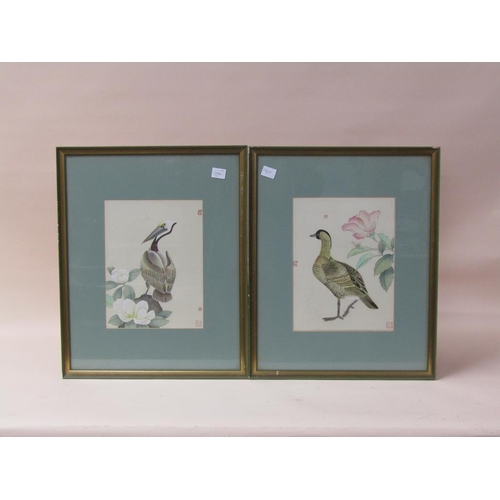 1173 - COLLECTION OF FIVE ORIENTAL COLOURED PRINTS - VARIOUS BIRDS, EACH F/G, APPROX 30CM X 22CM