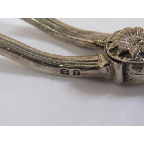 1483 - PAIR OF SILVER GRAPE SCISSORS