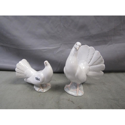 1664 - TWO LLADRO DOVES - LARGEST 20CM H