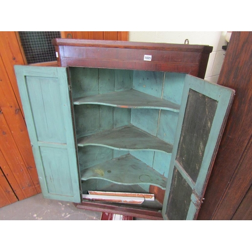 1825 - LATE GEORGIAN MAHOGANY HANGING CORNER CUPBOARD