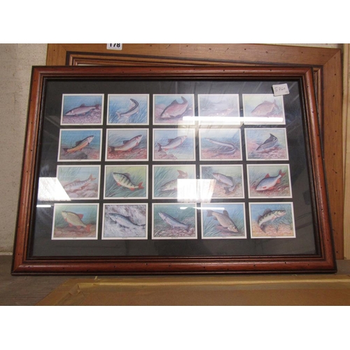 178 - FRAMED CIGARETTE CARDS; LIMITED FISHING PRINT