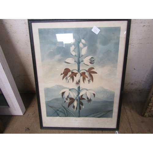 187 - COLLECTION OF FRAMED PRINTS