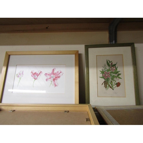 481 - BOTANICAL PRINTS