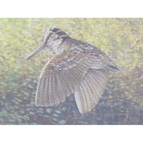 1107 - D A TURNBULL - EVENING WOODCOCK, SIGNED WATERCOLOUR, F/G, 37CM X 49CM