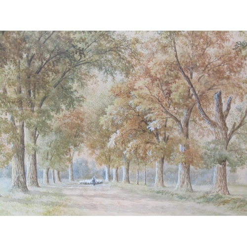 1112 - ALFRED BOX 79 - 19C SCENE OF SHEPHERD WITH FLOCK IN AVENUE OF TREES, WATERCOLOUR, F/G, 43CM X 65CM