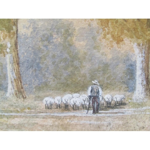 1112 - ALFRED BOX 79 - 19C SCENE OF SHEPHERD WITH FLOCK IN AVENUE OF TREES, WATERCOLOUR, F/G, 43CM X 65CM