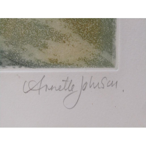 1137 - ANNETTE JOHNSON - SUMMER WINDOW, LIMITED EDITION COLOURED PRINT 33/150, SIGNED IN PENCIL, 56CM X 33C... 