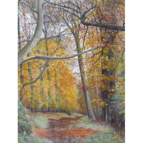 1147 - RONALD C SALVESEN - AUTUMN SPLENDOR, SIGNED IN MONO 'S-04', PASTEL, F/G, 50CM X 40CM