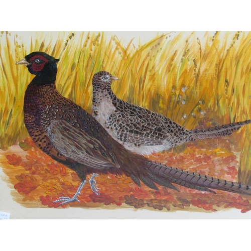 1161 - TWO WATERCOLOUR AND FEATHER COLLAGE - PHEASANTS, EACH F/G, 60CM X 90CM