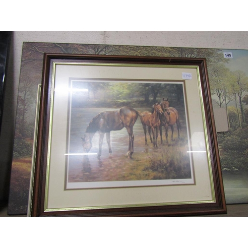 145 - COLLECTION OF FRAMED PRINTS