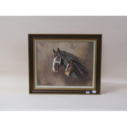 1341 - FRANK WRIGHT - MARE AND FOAL, SIGNED OIL ON CANVAS, FRAMED, 40CM X 50CM