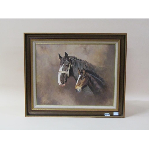 1341 - FRANK WRIGHT - MARE AND FOAL, SIGNED OIL ON CANVAS, FRAMED, 40CM X 50CM