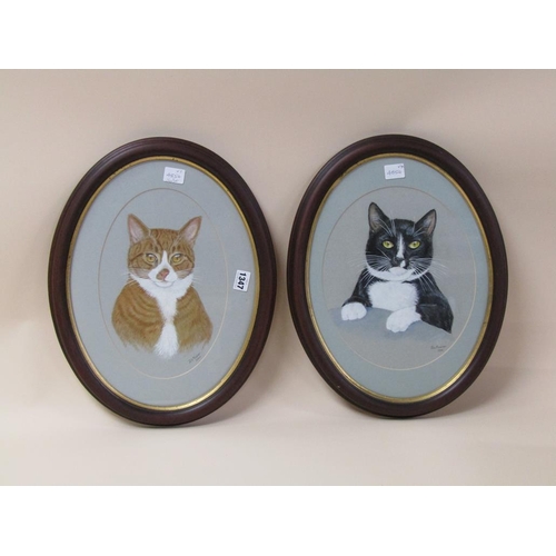 1347 - JILL FOWLER  -  TWO PICTURES - CATS, SIGNED OVAL FRAMED WATERCOLOURS, EACH 36CM X 30CM