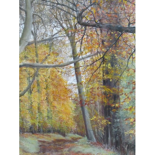 1364 - RONALD SALVESEN - AUTUMN SPLENDOR, SIGNED IN MONO, PASTEL, F/G, 50CM X 40CM