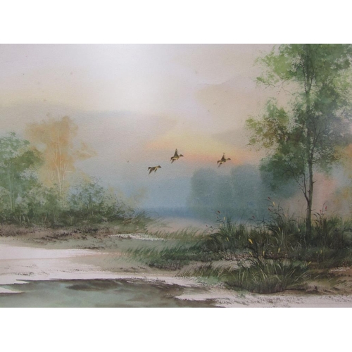 1357 - UNSIGNED - DUCKS LANDING, WATERCOLOUR, F/G, 26CM X 35CM