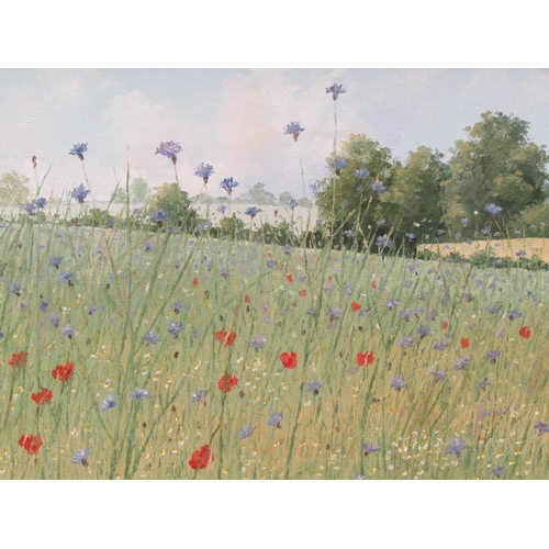 1203 - OLIVE WALKER - FIELD OF POPPIES AND OTHER PLANTS, SIGNED MONO.  OIL ON PANEL, FRAMED 25 x 34 cms