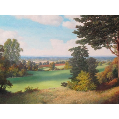 1211 - KEN DIXON - VALE OF AYLESBURY, OIL ON CANVAS.  FRAMED 60 x 93 cms