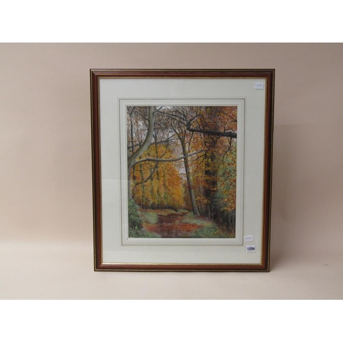 1256 - RONALD C SALVESEN - AUTUMN SPLENDOR - PASTEL, F/G, 50CM X 40CM