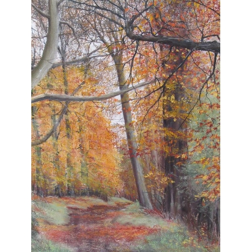 1256 - RONALD C SALVESEN - AUTUMN SPLENDOR - PASTEL, F/G, 50CM X 40CM