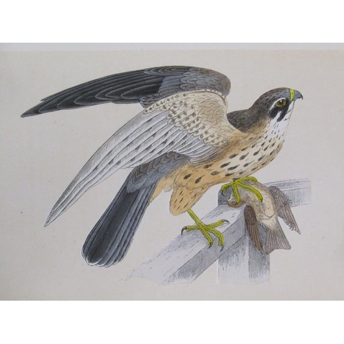 7 - Six books - A History of British birds by Rev. F. O. Morris BA, being volumes I to VI inclusive, pri... 