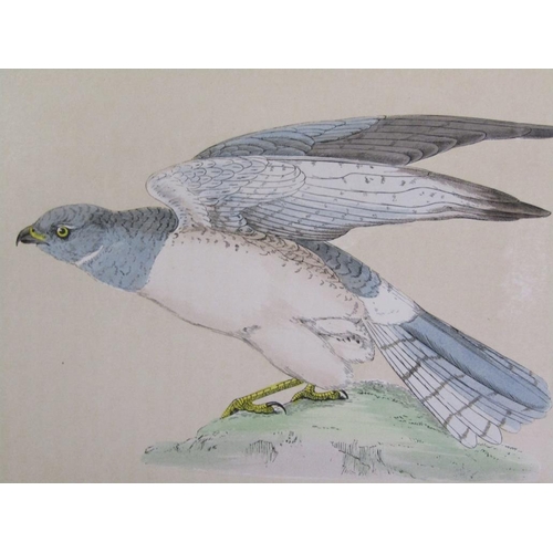 7 - Six books - A History of British birds by Rev. F. O. Morris BA, being volumes I to VI inclusive, pri... 