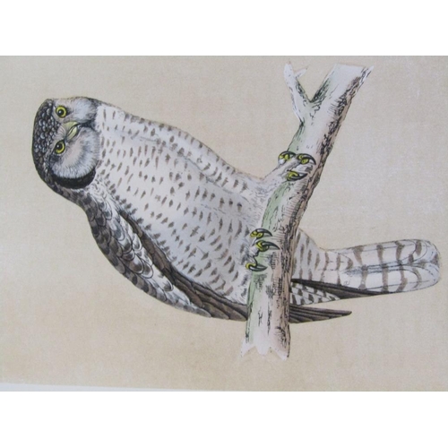 7 - Six books - A History of British birds by Rev. F. O. Morris BA, being volumes I to VI inclusive, pri... 