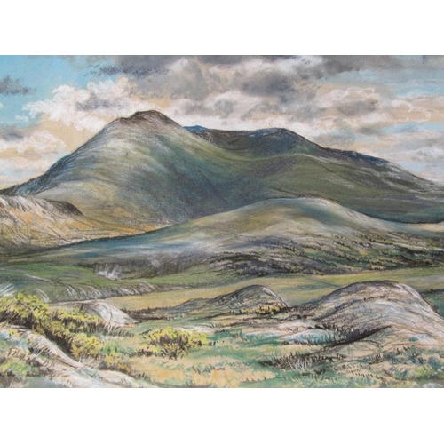 1210 - FRANK WEEMYS - ROLLING NORTHERN LANDSCAPE, SIGNED MIXED MEDIA, F/G 47 x 74 cms